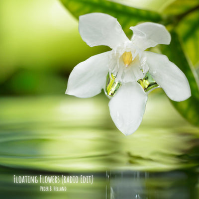 Floating Flowers (Radio Edit) - Single (★245)