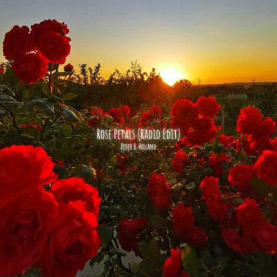 Rose Petals (Radio Edit) - Single (★237)