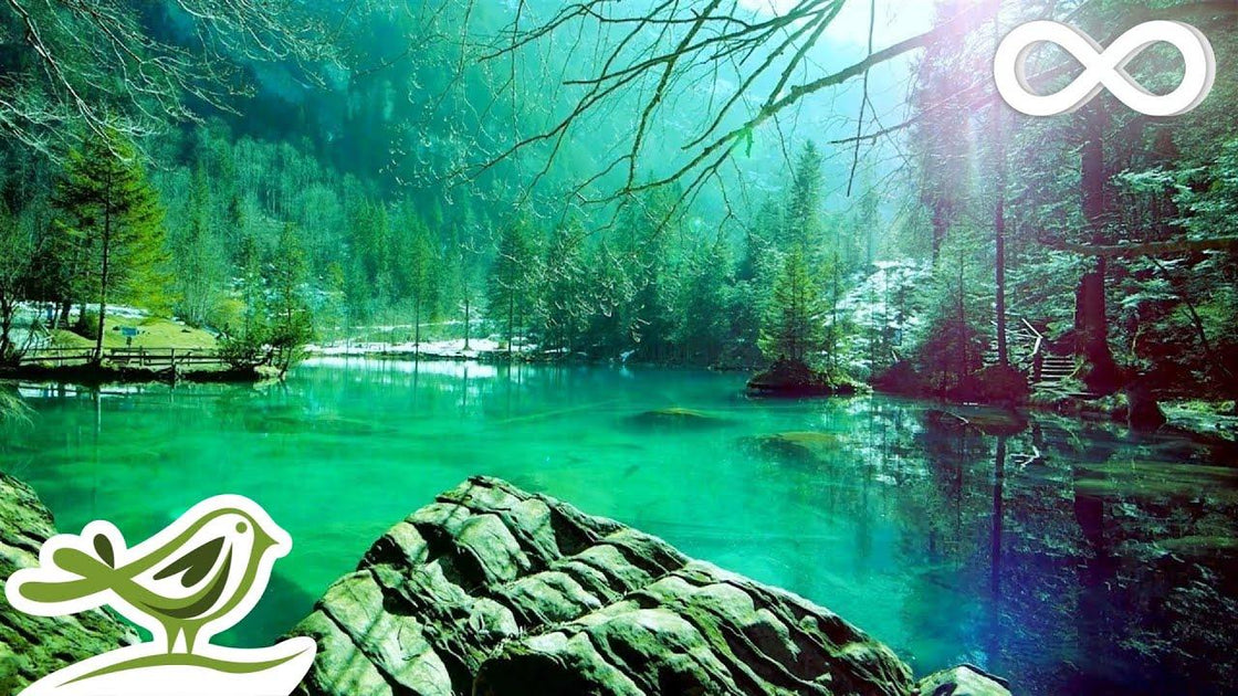 Relaxation Plan.pdf Download '12 Hours of Relaxing Sleep Music for Stress Relief, Sleeping ...