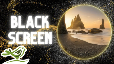 The Shore of Dreams: 10 Hours of Deep Sleep Music with Black Screen