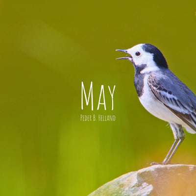 May - Single (★318)