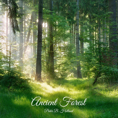 Ancient Forest - Single (★123)