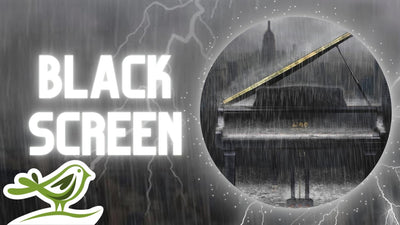 Midnight | Thunderstorm & Piano Sleep Music with Black Screen