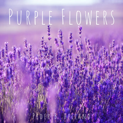 Purple Flowers (#53) - License