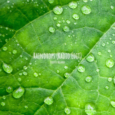 Raindrops (Radio Edit) - Single (★257)
