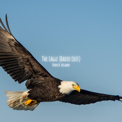 The Eagle (Radio Edit) (#230) - License