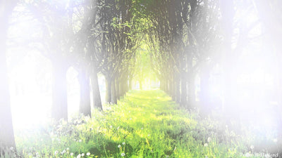 Long Playlist of Relaxing Piano Music for Meditation & Relaxation